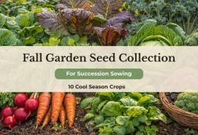 Fall Garden Seed Kit
