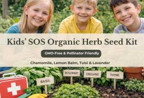 Kids’ SOS Organic Herb Seed Kit – Chamomile, Lemon Balm, Tulsi & Lavender