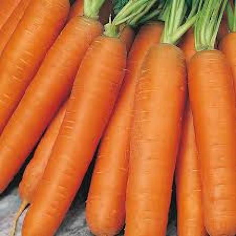 Packet - CARROT EARLY - EARLY NANTES 2, organic seed, heirloom