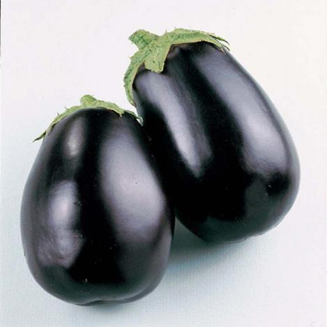 Packet - AUBERGINE- BLACK BEAUTY, regular seed - not treated and not gmo