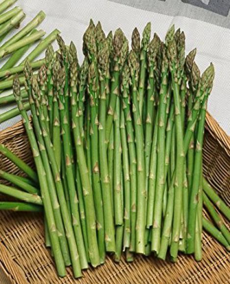 Packet - ASPARAGUS- MARY WASHINGTON - organic seeds