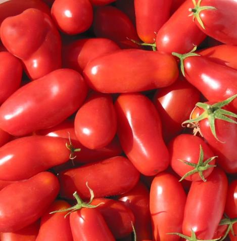 Packet - TOMATO- SAN MARZANO 2 , organic seed, heirloom