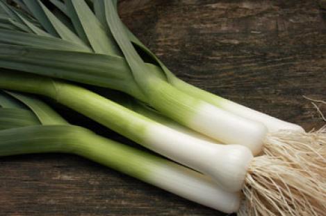 Packet - LEEK- MUSSELBURGH , regular seed - not treated and not gmo