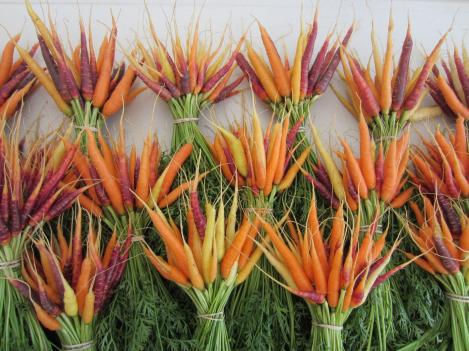 Packet - CARROT- RAINBOW MIX - organic seeds