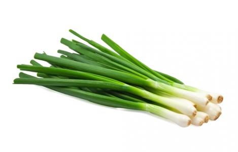 Packet - SPRING ONION- EIFFEL - organic seeds