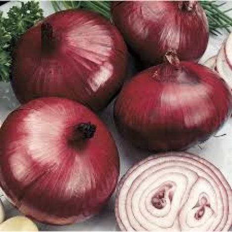 Packet - ONION - RED BARON, organic seeds