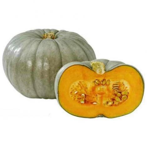Packet - PUMPKIN CROWN PRINCE F1, regular seed - not treated and not gmo
