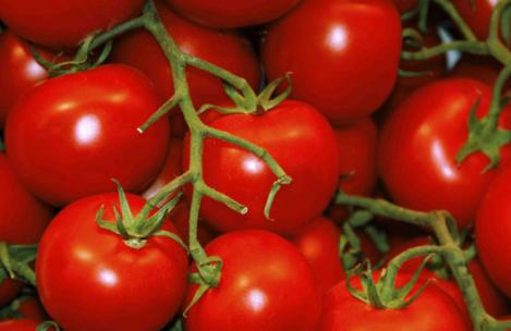 Packet - Tomato MAIKE, regular seed - not treated and not gmo