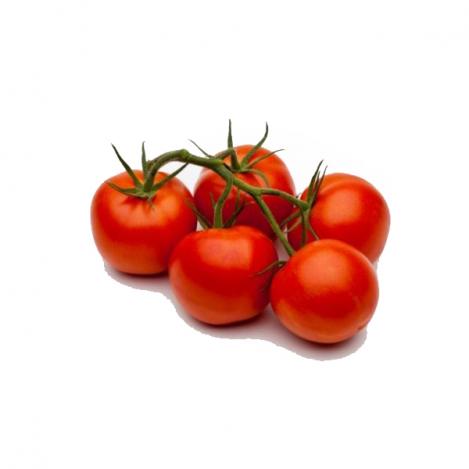 Packet - Tomato MATO, regular seed - not treated and not gmo