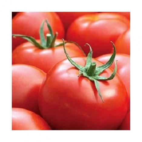 Packet - Tomao MALLE F1, regular seeds - not treated and non-gmo