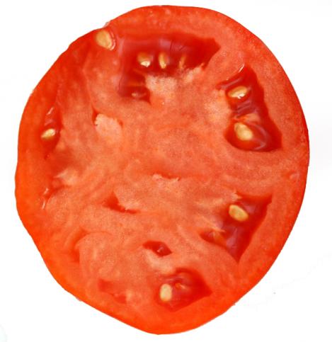 Packet - Tomato TERMA, regular seed - not treated and not gmo