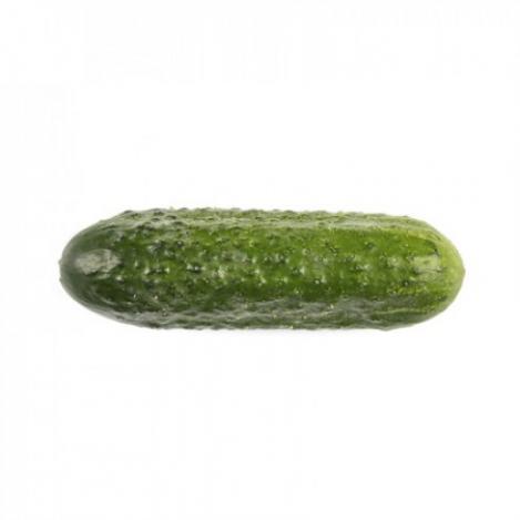 Packet - CUCUMBER - RUBATO F1, regular seed - not treated and not gmo