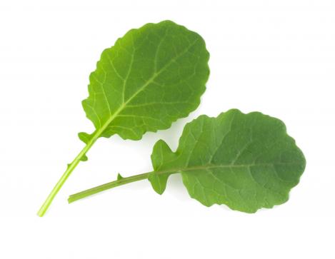 Packet - GARLIC KALE, regular seeds - not treated and non-gmo