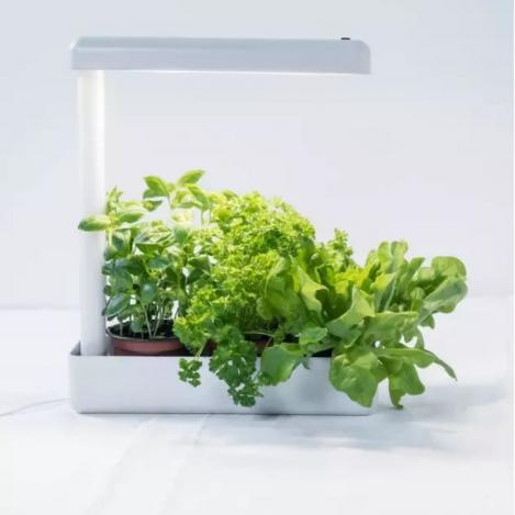 Packet - Airam HERBY Botanical luminaire 12W 4000K 800lm, plant lamp