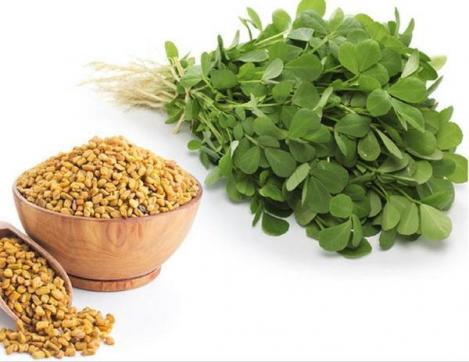 Packet - FENUGREEK, regular seed - not treated and not gmo