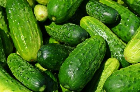 Packet - CUCUMBER - CHOPIN F1 - seeds