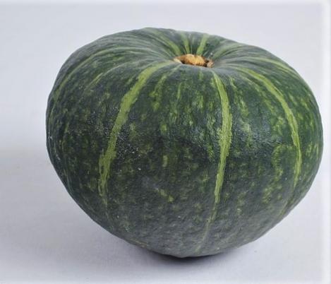 Packet - SQUASH, WINTER, BUDDHA F1, regular seed - not treated and not gmo