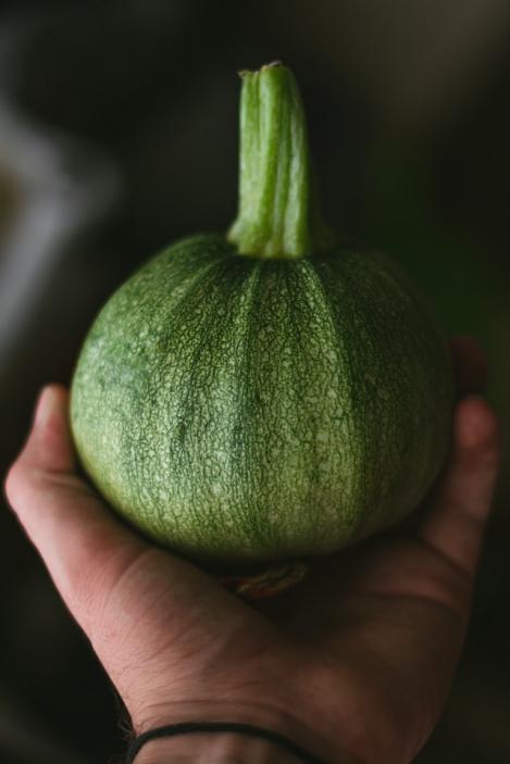 Packet - COURGETTE - ZAPHITO - seeds