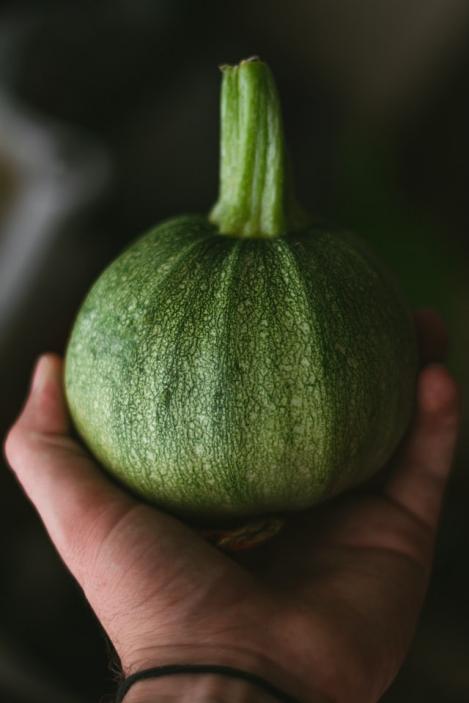 Packet - COURGETTE - ZAPHITO, organic seed