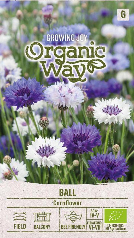 Packet - CORNFLOWER BALL MIX, organic seeds