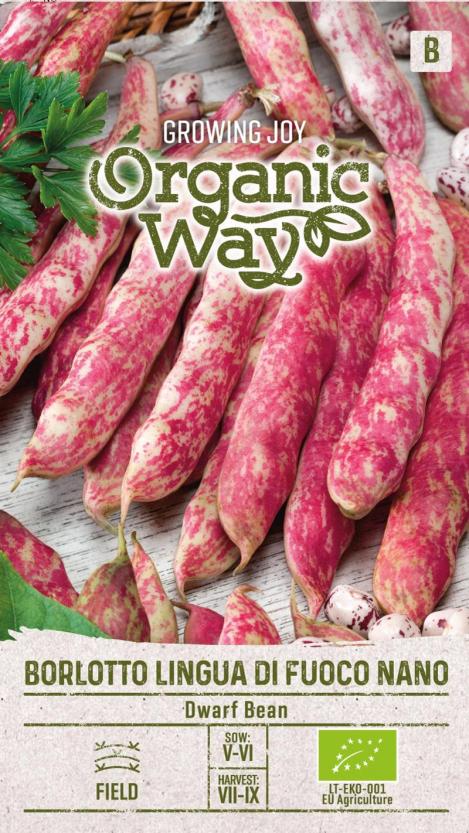 Packet - ITALIAN BORLOTTO BEAN LINGUA DI FUOCO NANO, organic seeds, heirloom