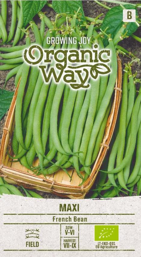 Packet - FRENCH BEAN - MAXI, organic seed
