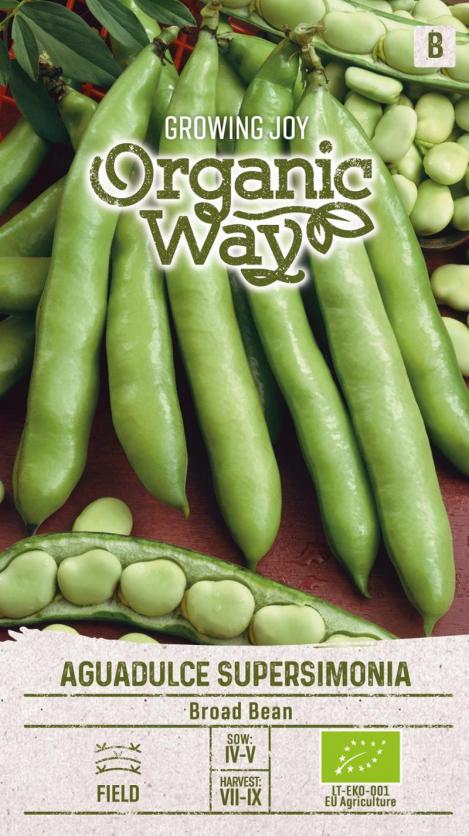 Packet - BEAN BROAD AGUADULCE SUPERSIMONIA, organic seeds, heirloom