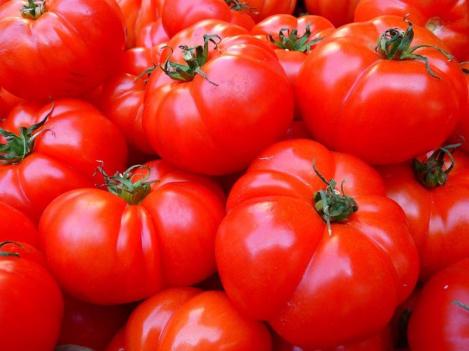Packet - Tomato KOIT, regular seed - not treated and not gmo