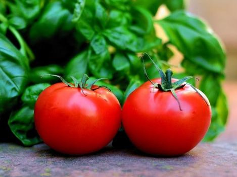 Packet - Tomato VILJA, regular seed - not treated and not gmo