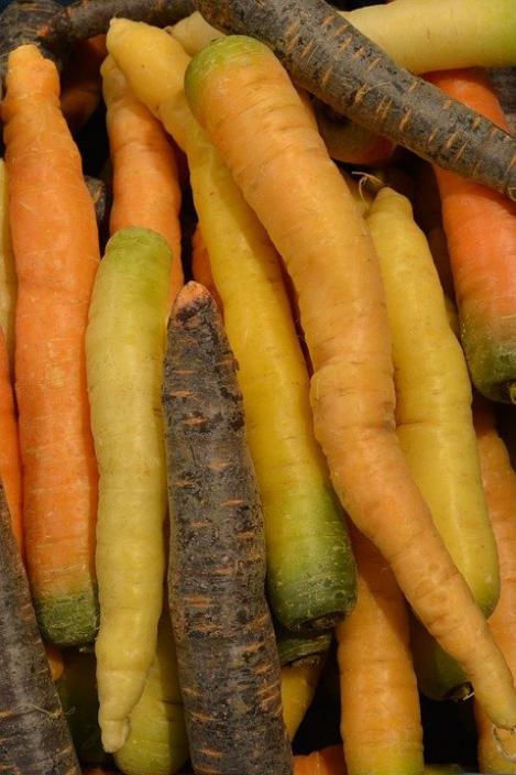 Packet - CARROT - GELBE GOCHSHEIMER, organic seed