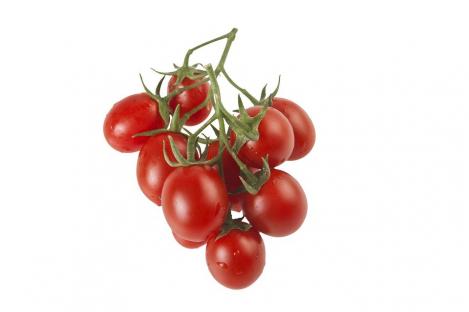 Solanum lycopersicum Italian Heirloom Tomato *Principe Borghese* 