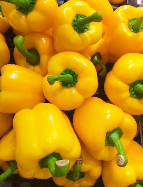 Packet - Sweet PEPPER- Quadrato D ASTI GALLO, organic seed, heirloom