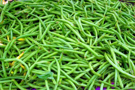 Packet - Dwarf French Bean COMPASS, organic seed
