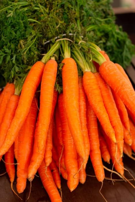 Packet - CARROT - AMSDERDAM 2, organic seed