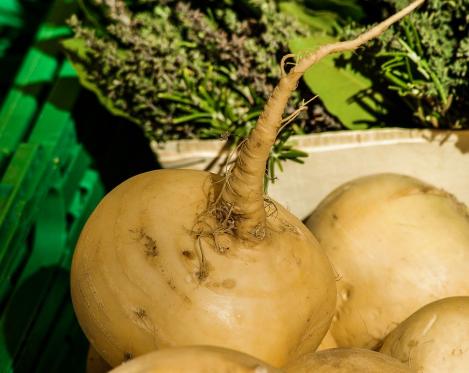 Packet - TURNIP- GOLDEN BALL, organic seed