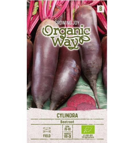 Packet - Beetoot CYLINDRA, organic seeds, heirloom