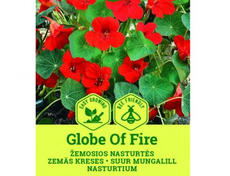 Packet - NASTURTIUM - GLOBE OF FIRE, regular seeds - not treated and non-gmo