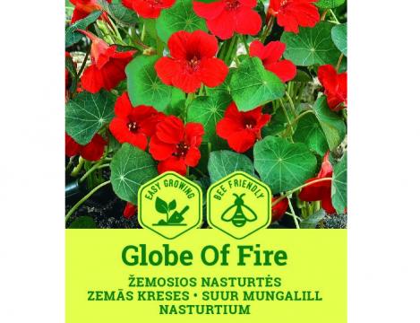 Packet - NASTURTIUM - GLOBE OF FIRE, regular seed - not treated and not gmo