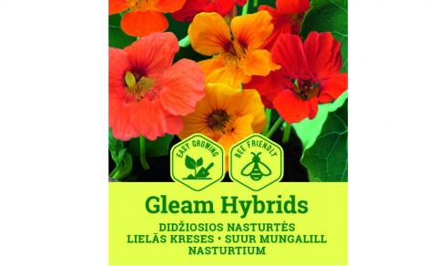 Packet - NASTURTIUM - GLEAM HYBRIDS , regular seed - not treated and not gmo