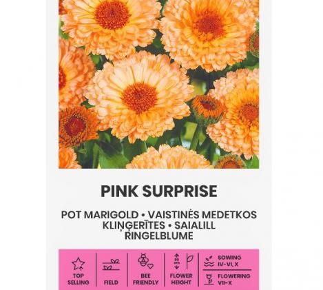 Packet - MARIGOLD - PINK SURPRISE, regular seed - not treated and not gmo