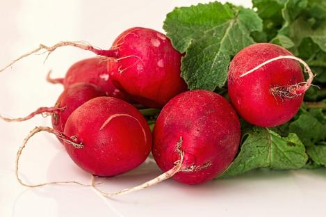 Packet - RADISH CHERRY BELLE, regular seed - not treated and not gmo, heirloom