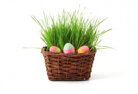 Packet - Easter grass