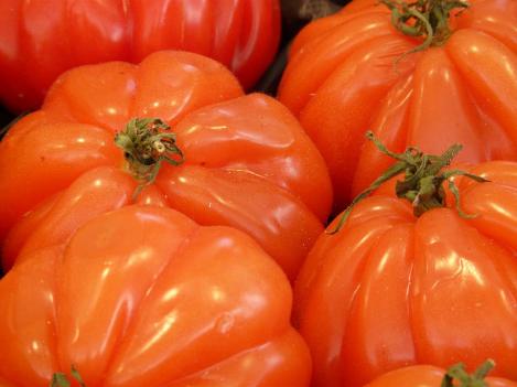 Packet - TOMATO - PANTANO ROMANESCO, organic seed, heirloom