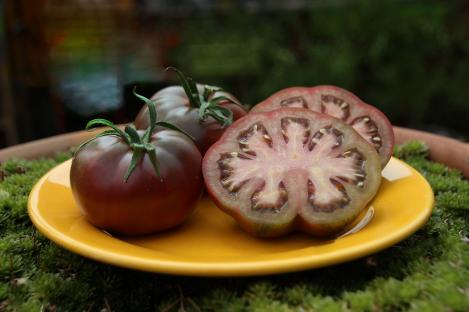 Packet - Tomato BLACK PRINCE, regular seed - not treated and not gmo, heirloom