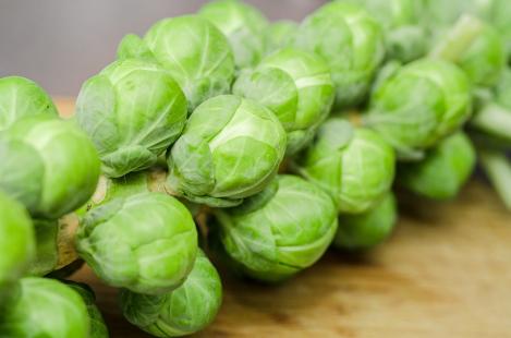 Packet - BRUSSEL SPROUTS - DOLORES F1, regular seeds - not treated and non-gmo