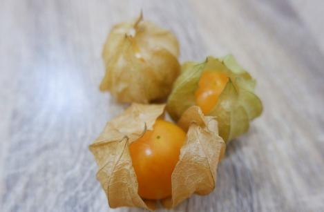 Packet - PHYSALIS - SCHÖNBRUNNER GOLD , organic seed