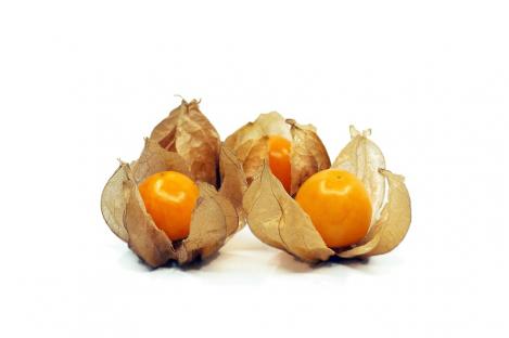 Packet - Pineapple physalis HERMELINDA, organic seeds