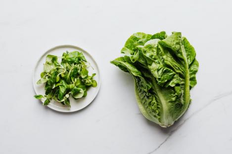 Packet - LETTUCE - LITTLE GEM, regular seed - not treated and not gmo