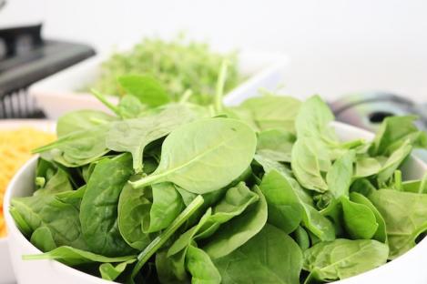 Packet - Spinach GIANT WINTER, organic seeds, heirloom