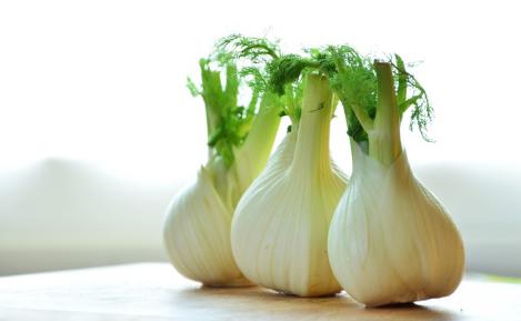 Packet - FENNEL - ROMANESCO, organic seed